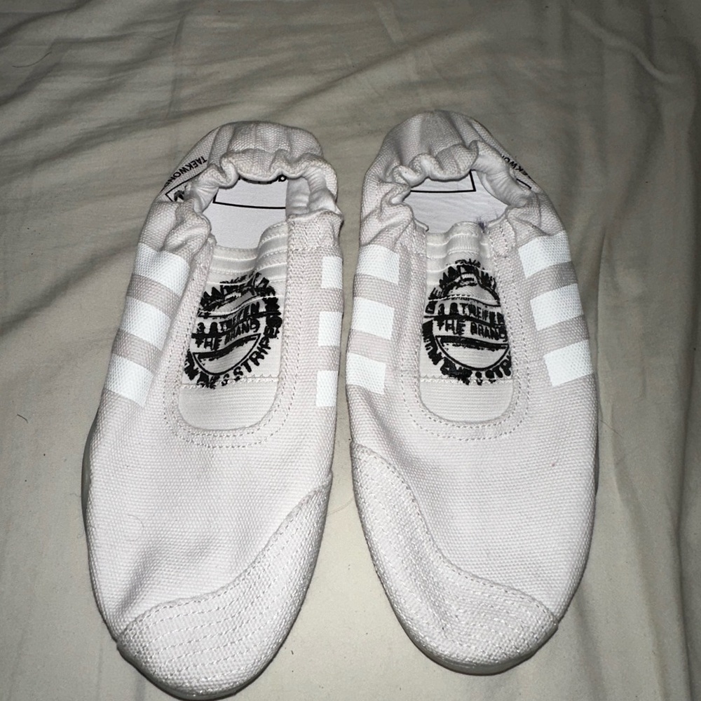 Adidas taekwondo shoes